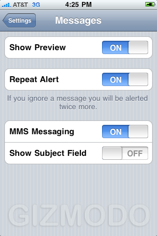 Illustration for article titled iPhone 3.0 Beta OS Impressions And Walkthrough Gallery
